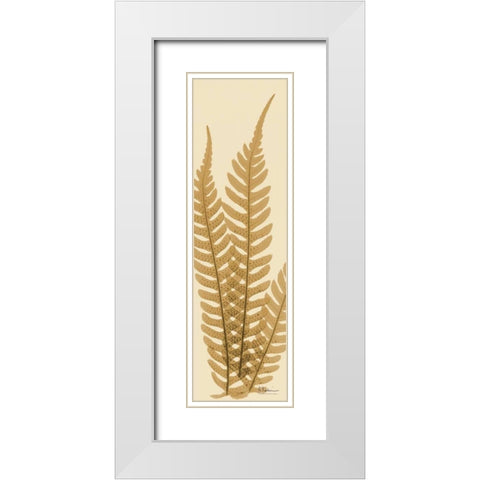 Tree Fern Brown on Beige White Modern Wood Framed Art Print with Double Matting by Koetsier, Albert