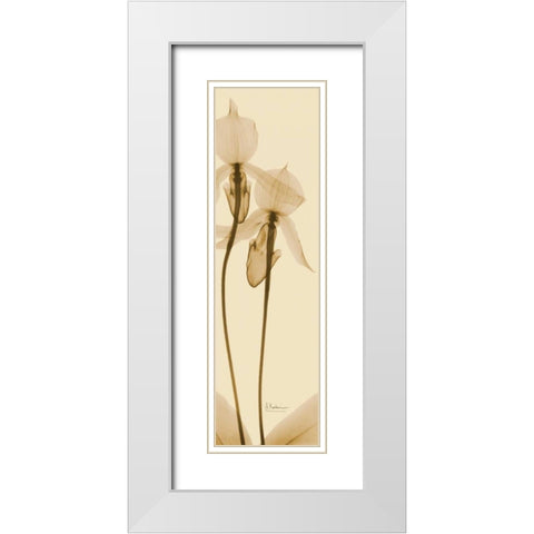 Orchid Brown on Beige 2 White Modern Wood Framed Art Print with Double Matting by Koetsier, Albert