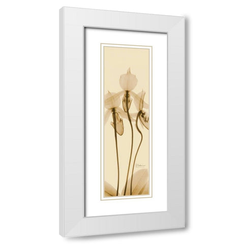 Orchid Brown on Beige White Modern Wood Framed Art Print with Double Matting by Koetsier, Albert