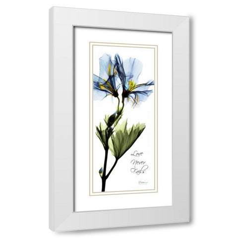 Geranium - Love White Modern Wood Framed Art Print with Double Matting by Koetsier, Albert