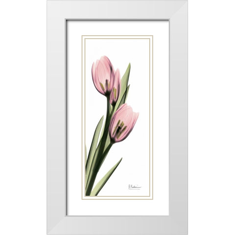 Tulips in Pink White Modern Wood Framed Art Print with Double Matting by Koetsier, Albert