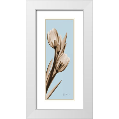 Tulip White Modern Wood Framed Art Print with Double Matting by Koetsier, Albert