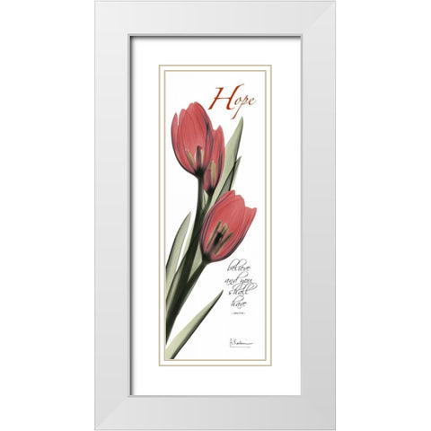 Tulips in Red  - Hope White Modern Wood Framed Art Print with Double Matting by Koetsier, Albert