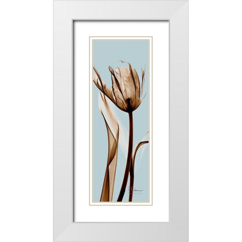 Tulip Brown on Blue White Modern Wood Framed Art Print with Double Matting by Koetsier, Albert