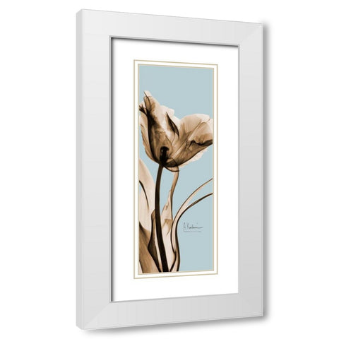 Tulip Brown on Blue 2 White Modern Wood Framed Art Print with Double Matting by Koetsier, Albert