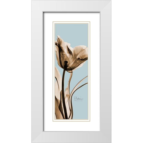 Tulip Brown on Blue 2 White Modern Wood Framed Art Print with Double Matting by Koetsier, Albert