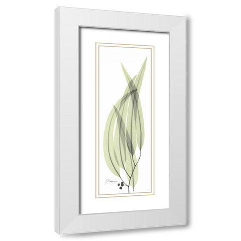 Eucalyptus in Green 2 White Modern Wood Framed Art Print with Double Matting by Koetsier, Albert