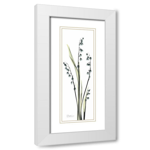 Lily of the Valley in Blue White Modern Wood Framed Art Print with Double Matting by Koetsier, Albert