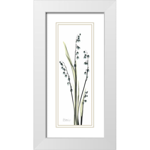 Lily of the Valley in Blue White Modern Wood Framed Art Print with Double Matting by Koetsier, Albert