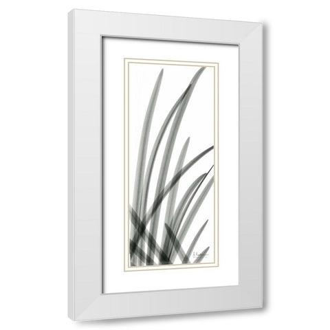 Snow Drop Leaves White Modern Wood Framed Art Print with Double Matting by Koetsier, Albert