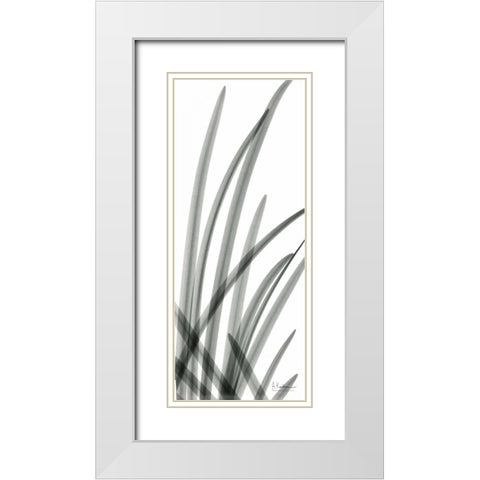 Snow Drop Leaves White Modern Wood Framed Art Print with Double Matting by Koetsier, Albert