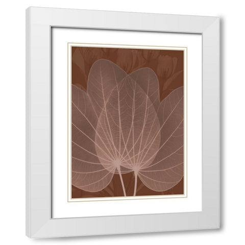 Orchid Tree Fan White Modern Wood Framed Art Print with Double Matting by Koetsier, Albert