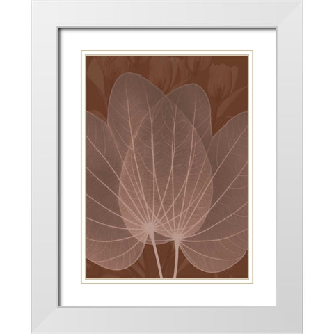 Orchid Tree Fan White Modern Wood Framed Art Print with Double Matting by Koetsier, Albert