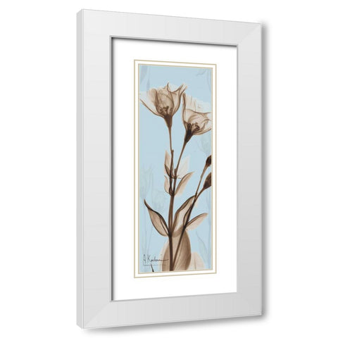 Flower 1 White Modern Wood Framed Art Print with Double Matting by Koetsier, Albert