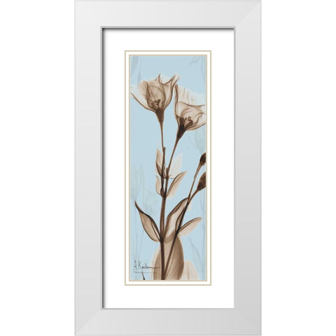 Flower 1 White Modern Wood Framed Art Print with Double Matting by Koetsier, Albert