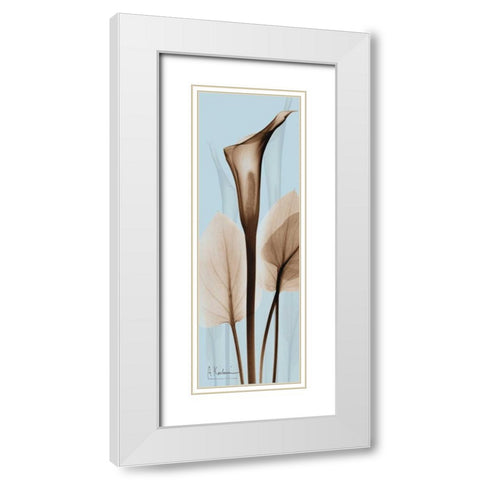 Flower 2 White Modern Wood Framed Art Print with Double Matting by Koetsier, Albert