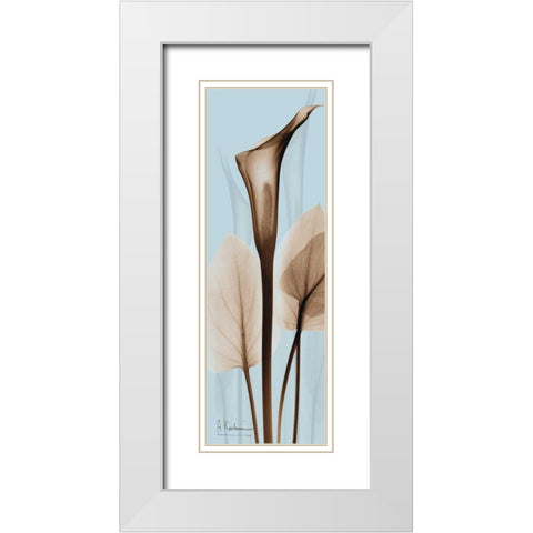 Flower 2 White Modern Wood Framed Art Print with Double Matting by Koetsier, Albert