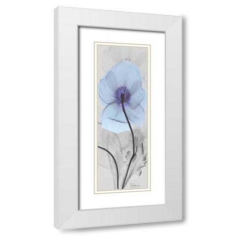 Iceland Poppy White Modern Wood Framed Art Print with Double Matting by Koetsier, Albert