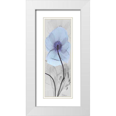 Iceland Poppy White Modern Wood Framed Art Print with Double Matting by Koetsier, Albert