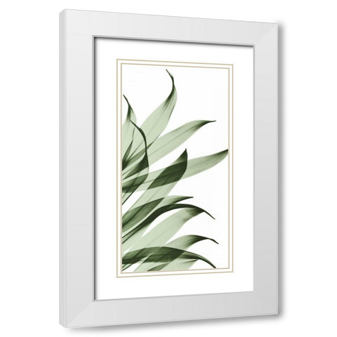 Song of India I295 White Modern Wood Framed Art Print with Double Matting by Koetsier, Albert