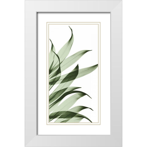 Song of India I295 White Modern Wood Framed Art Print with Double Matting by Koetsier, Albert