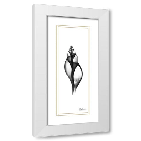 Tulip Shell White Modern Wood Framed Art Print with Double Matting by Koetsier, Albert