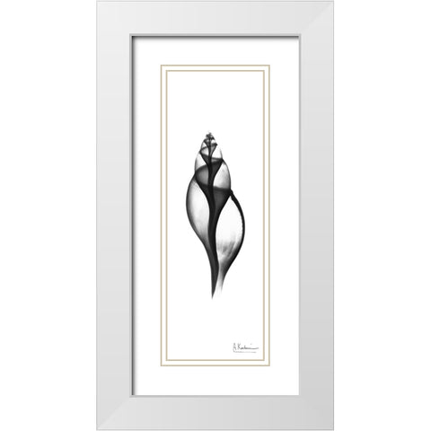 Tulip Shell White Modern Wood Framed Art Print with Double Matting by Koetsier, Albert