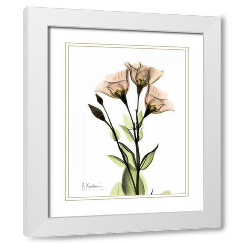 Gentian 3 White Modern Wood Framed Art Print with Double Matting by Koetsier, Albert