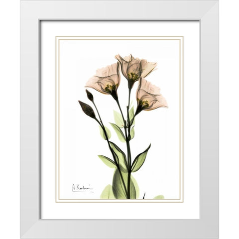 Gentian 3 White Modern Wood Framed Art Print with Double Matting by Koetsier, Albert