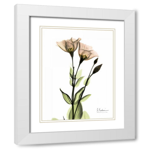 Gentian 2 White Modern Wood Framed Art Print with Double Matting by Koetsier, Albert