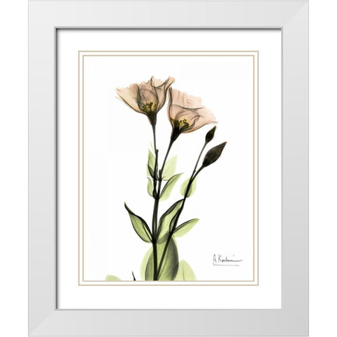 Gentian 2 White Modern Wood Framed Art Print with Double Matting by Koetsier, Albert