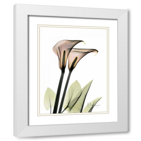 Calla Lily Pair White Modern Wood Framed Art Print with Double Matting by Koetsier, Albert