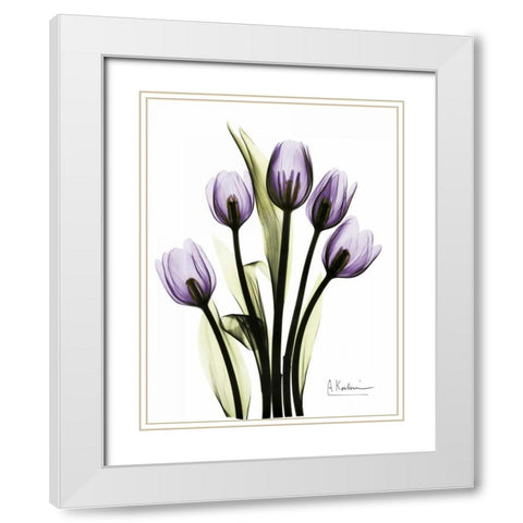 Regal Tulip B13 White Modern Wood Framed Art Print with Double Matting by Koetsier, Albert