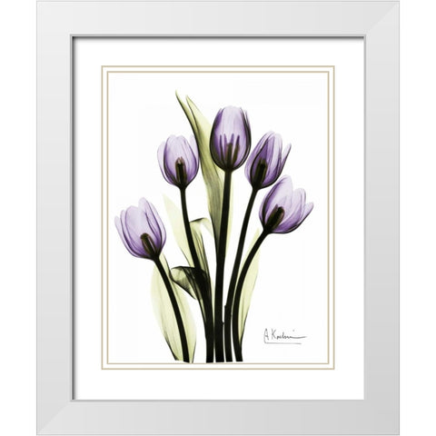 Regal Tulip B13 White Modern Wood Framed Art Print with Double Matting by Koetsier, Albert