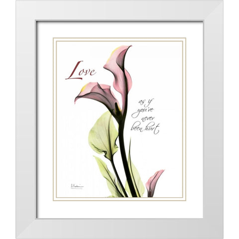 Calla Lily in Pink - Love White Modern Wood Framed Art Print with Double Matting by Koetsier, Albert