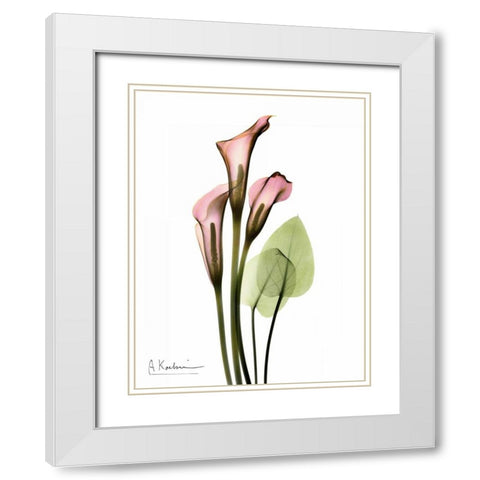 Calla Lily Bouquet in Pink White Modern Wood Framed Art Print with Double Matting by Koetsier, Albert