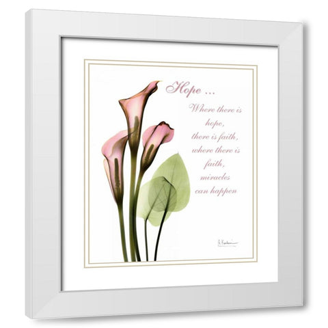 Calla Lily in Pink - Hope White Modern Wood Framed Art Print with Double Matting by Koetsier, Albert