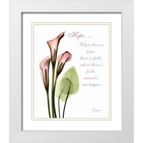 Calla Lily in Pink - Hope White Modern Wood Framed Art Print with Double Matting by Koetsier, Albert