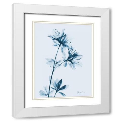 Azalea in Blue White Modern Wood Framed Art Print with Double Matting by Koetsier, Albert