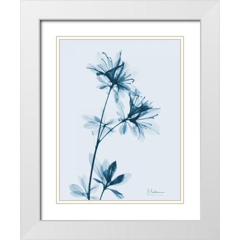 Azalea in Blue White Modern Wood Framed Art Print with Double Matting by Koetsier, Albert