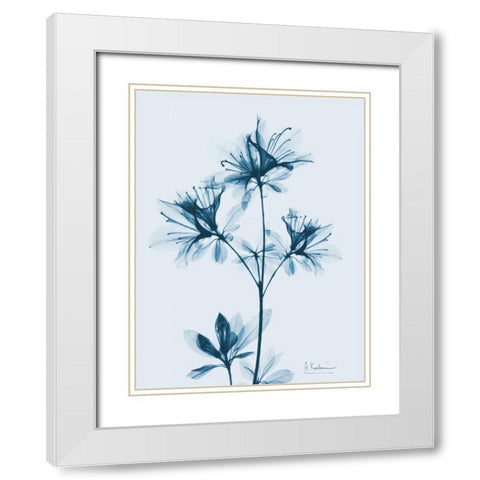 Azalea in Blue 2 White Modern Wood Framed Art Print with Double Matting by Koetsier, Albert