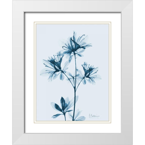 Azalea in Blue 2 White Modern Wood Framed Art Print with Double Matting by Koetsier, Albert