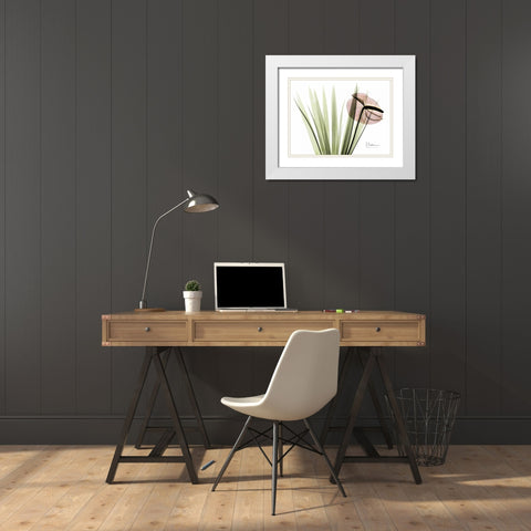 Flamingo Plant in Color White Modern Wood Framed Art Print with Double Matting by Koetsier, Albert