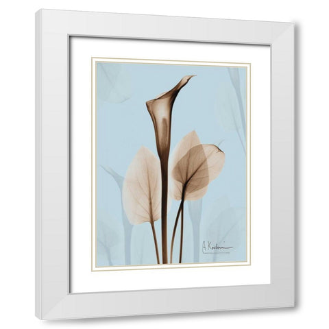 Calla Lily Brown on Blue 2 White Modern Wood Framed Art Print with Double Matting by Koetsier, Albert