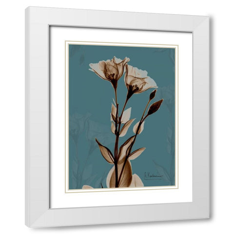 Fields of Blue II White Modern Wood Framed Art Print with Double Matting by Koetsier, Albert