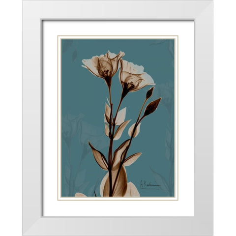 Fields of Blue II White Modern Wood Framed Art Print with Double Matting by Koetsier, Albert