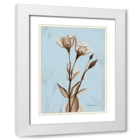 Tulips Brown on Blue White Modern Wood Framed Art Print with Double Matting by Koetsier, Albert