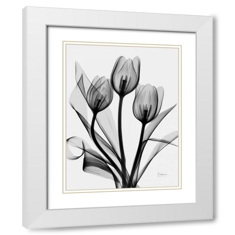 Tulips White Modern Wood Framed Art Print with Double Matting by Koetsier, Albert