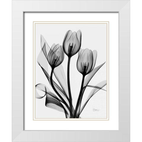 Tulips White Modern Wood Framed Art Print with Double Matting by Koetsier, Albert