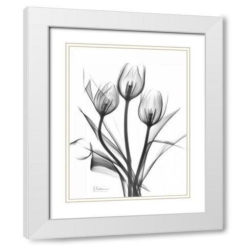 Tulips Bunch in BandW White Modern Wood Framed Art Print with Double Matting by Koetsier, Albert